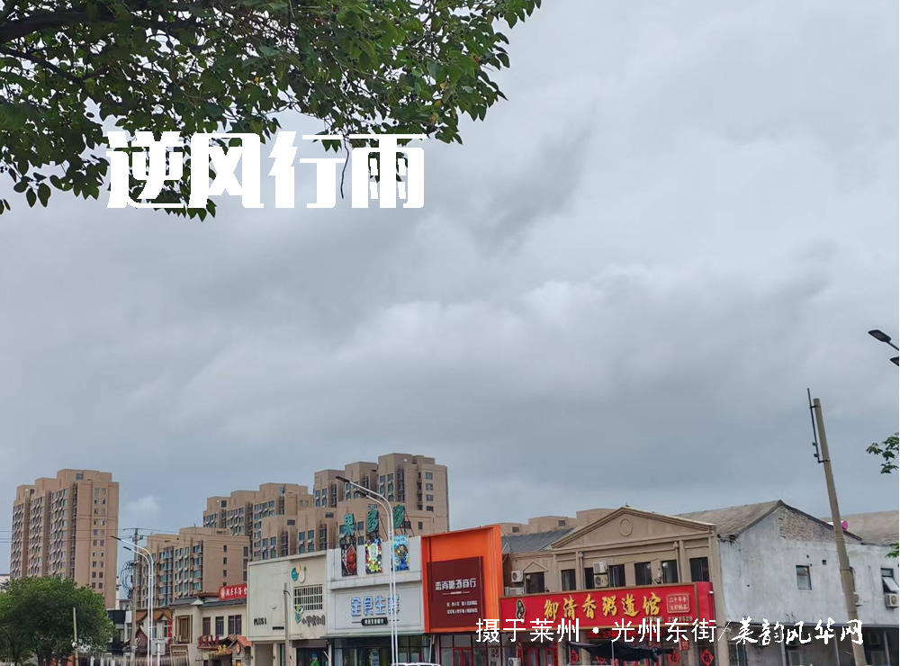 莱邑农谚解密（二）：东南风西北雨，顶风雨顺风雪 第 2 张