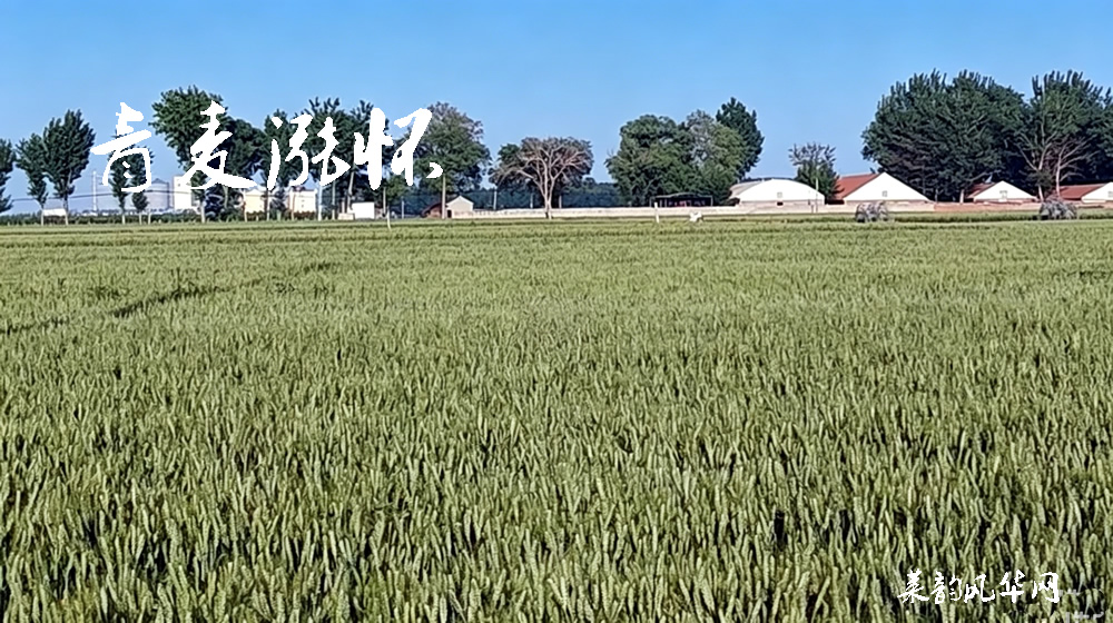 诗话小满，绝句十二首 第 1 张