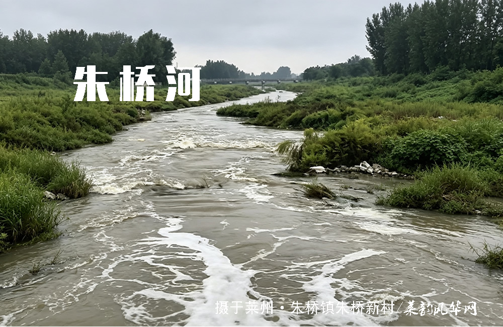 莱州山水知多少（三）——河流 第 4 张