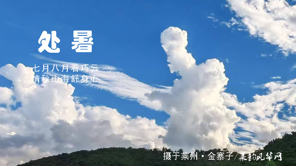 璀璨的莱州民俗文化——处暑 第 5 张