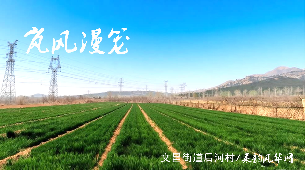 律诗三首•谷雨 第 2 张