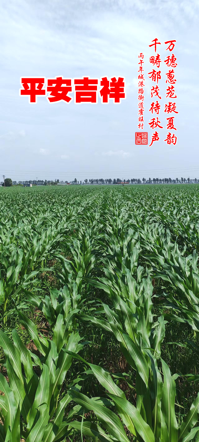 过国之西摄影作品选：美丽的田野 第 7 张