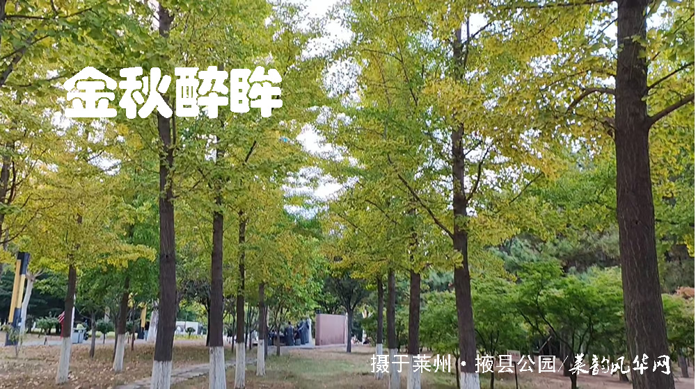 诗词十二首•国庆颂 第 2 张