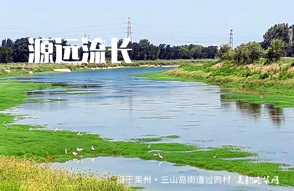 莱州山水知多少（三）——河流