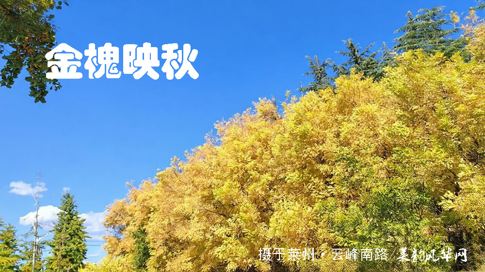 诗词十四首·寒露咏怀 第 8 张