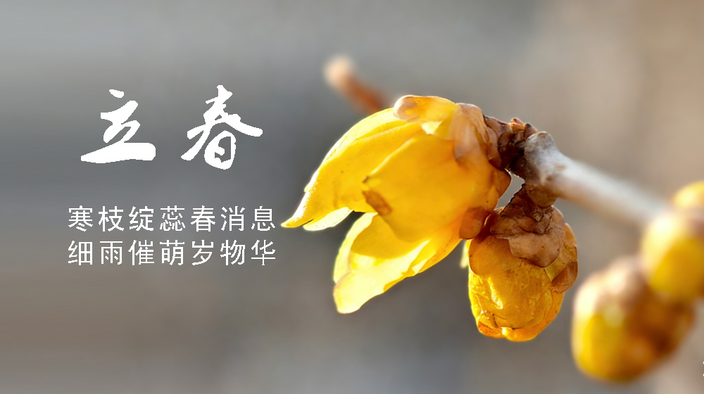 璀璨的莱州民俗文化——立春 第 3 张