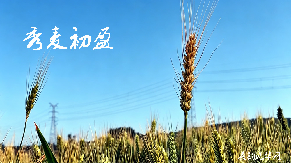 诗话小满，绝句十二首 第 2 张