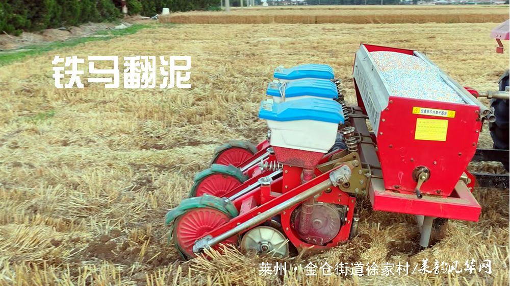 七绝•莱州三夏 第 2 张
