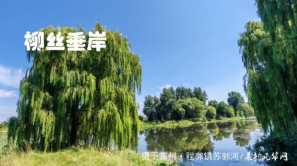 诗词四首•莱邑夏韵 第 4 张